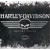 Placa metalica - Harley Davidson Skull Logo - 30x40 cm